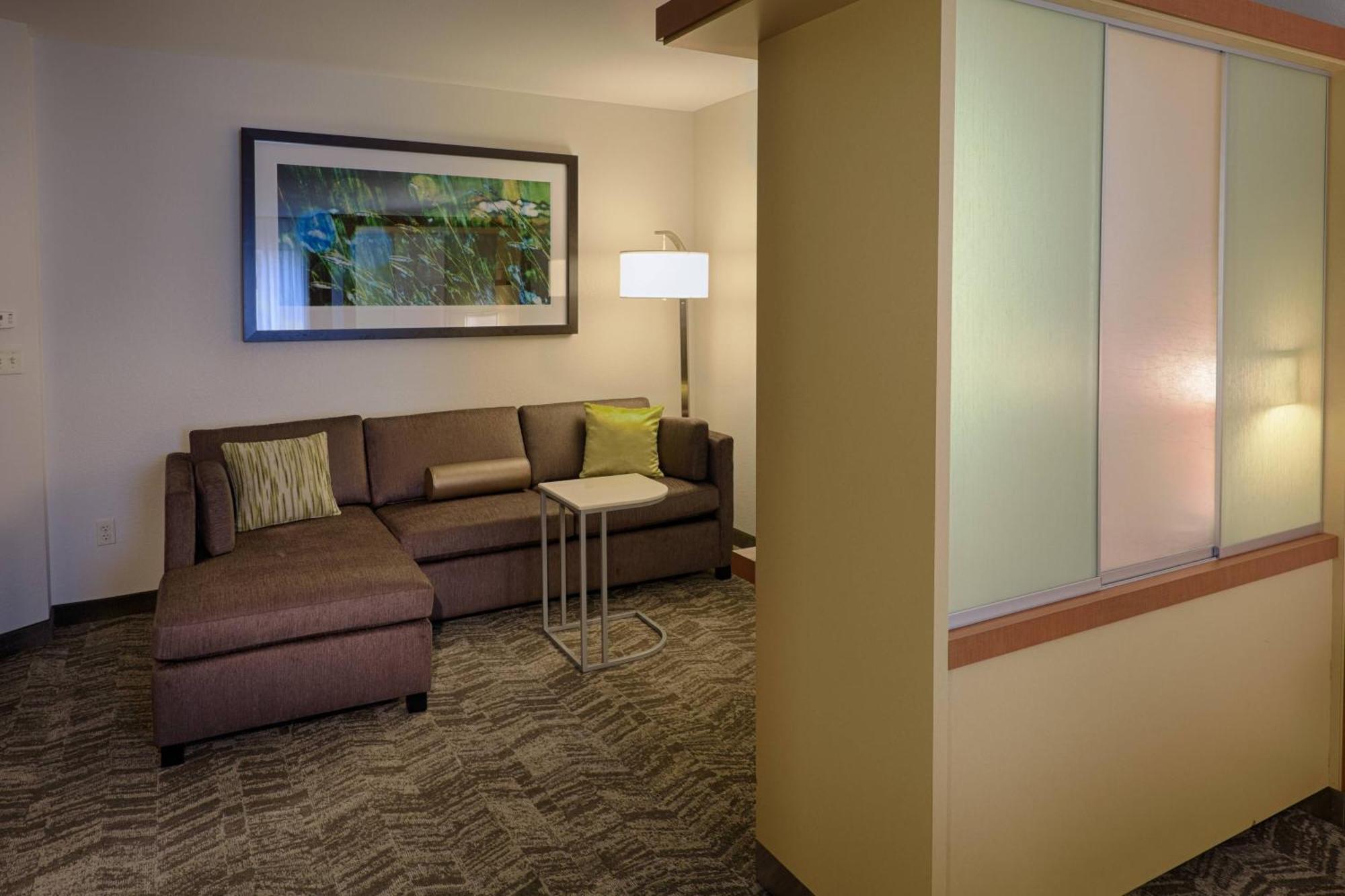 Springhill Suites By Marriott Albany Latham-Colonie Экстерьер фото
